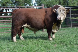 CO2 Dioxido de Carbono