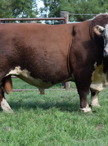 CO2 Dioxido de Carbono