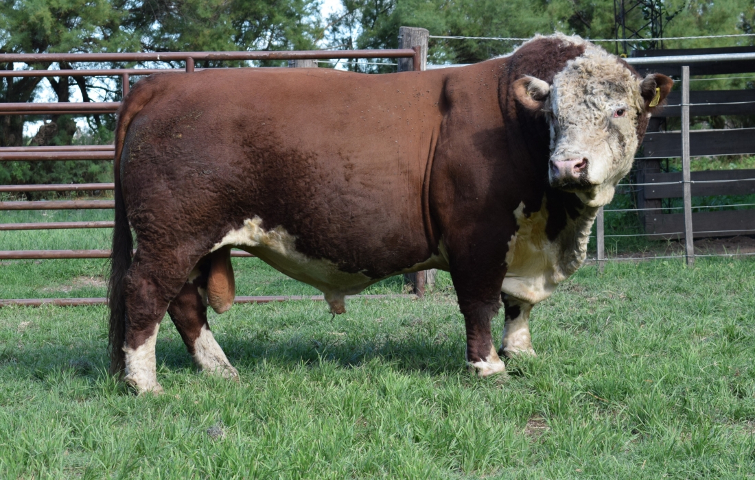 CO2 Dioxido de Carbono