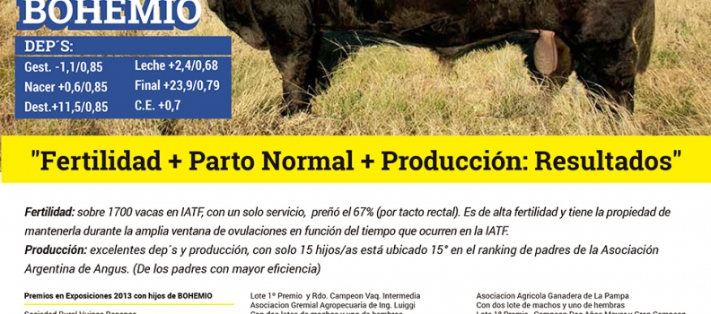 Ternero Nacido Vivo · Negocio Asegurado II